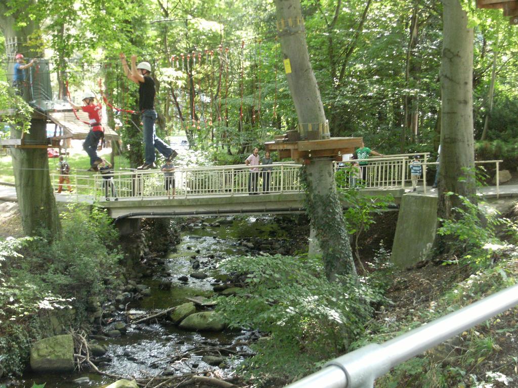 Loft Erdgeschoss * Wernigerode